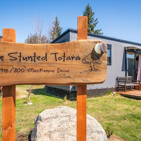 Vila Stunted Totara, Unit 4 Twizel Exteriér fotografie